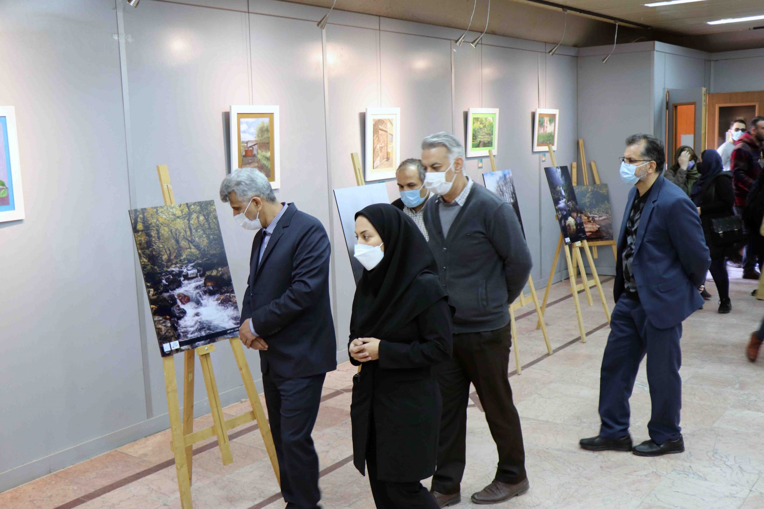 افتتاح نمایشگاه عکس میراث جهانی جنگلهای هیرکانی در رشت افتتاح نمایشگاه عکس میراث جهانی جنگلهای هیرکانی در رشت