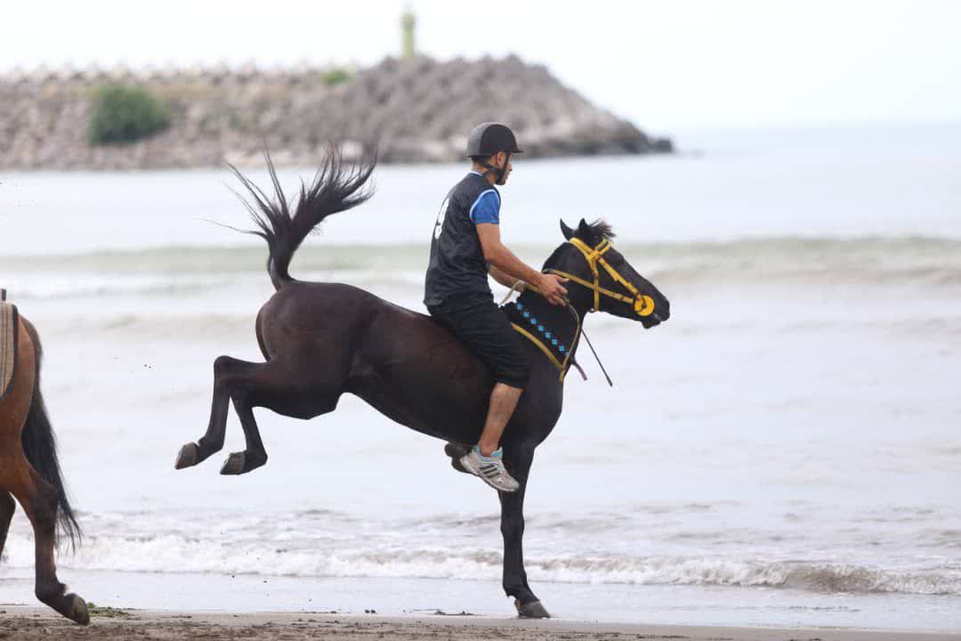 برگزاری مسابقات سوارکاری (کورس ساحلی) در منطقه آزاد انزلی