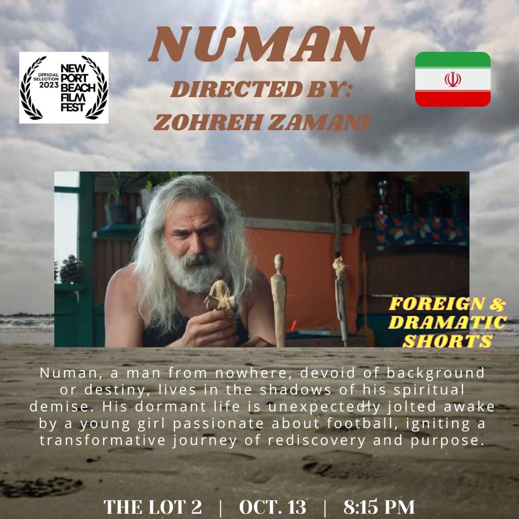 جايزه ويژه تدوين براي فيلم نومان جايزه ويژه تدوين براي فيلم نومان