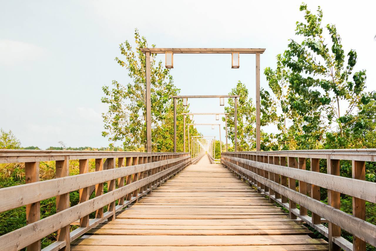 بازپیرایی پل چوبی، بهسازی پارک شهروند و بتن‌ریزی معابر، از شاخص‌ترین پروژه‌های عمرانی پاییز ۱۴۰۲