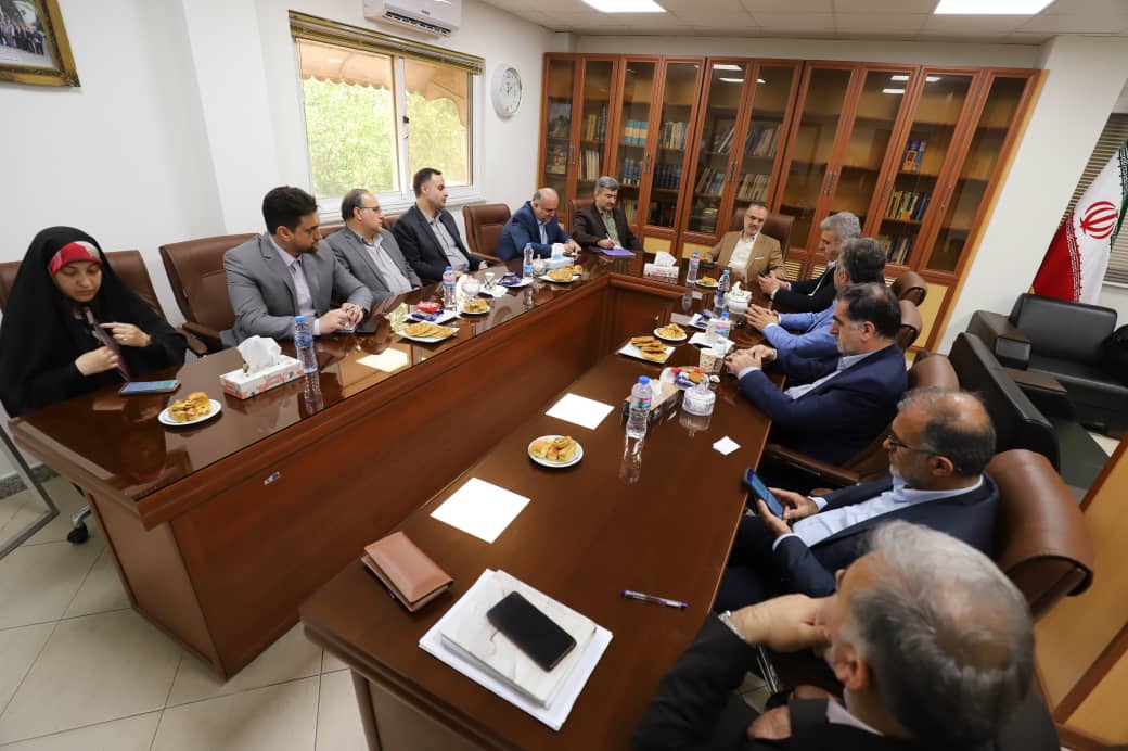 اجرای شبکه یکصد کیلومتر خطوط برق در رشت