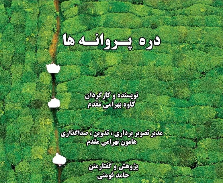 مستند پرتره شیون فومنی منتخب هجدهمین جشنواره بین المللی فیلم مستند ایران