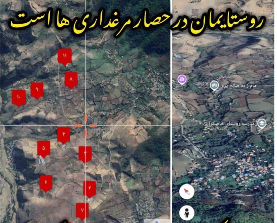 فعالیت بی‌رویه مرغداری‌ها زنگ خطری بر توسعه روستا و محیط زیست