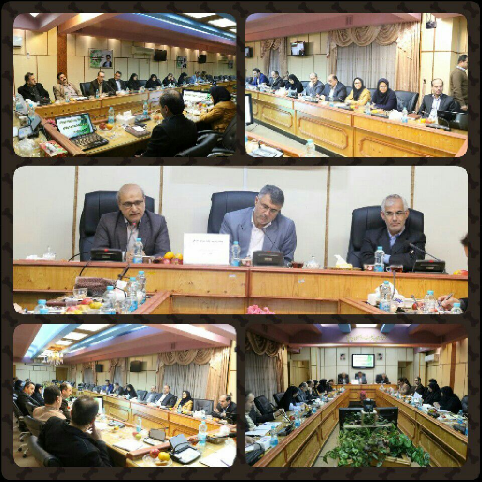 🔴همکاری آموزش و پرورش و بهزیستی گیلان برای کاهش آسیبهای اجتماعی 🔴همکاری آموزش و پرورش و بهزیستی گیلان برای کاهش آسیبهای اجتماعی