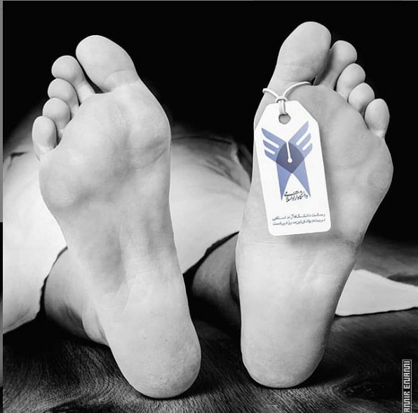 🚫سیمون بولیوار خونین؛ قتلگاه ارشدان آزاد/یادداشت امیر حسین میلانچی