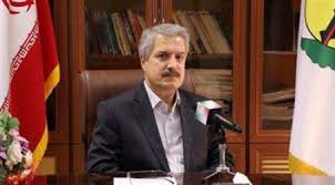 مدیرعامل شرکت توزیع نیروی برق گیلان خبرداد؛ افتتاح ۳۸۴ پروژه برق شهری و روستایی در دهه فجر | برق‌رسانی به روستاهای زیر ۱۰ خانوار در اولویت